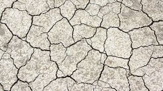 80 yılın en kurak Ağustos'u