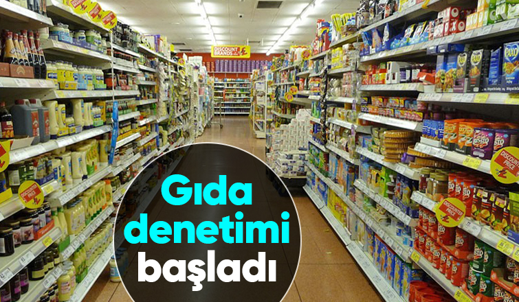 81 ilde gıda denetimleri başladı