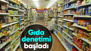 81 ilde gıda denetimleri başladı