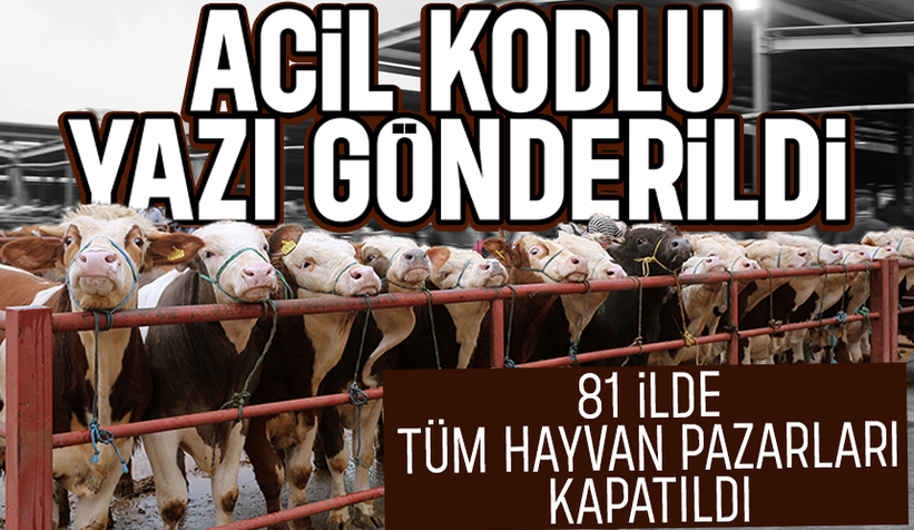 81 ilde tüm hayvan pazarları kapatıldı