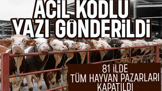 81 ilde tüm hayvan pazarları kapatıldı