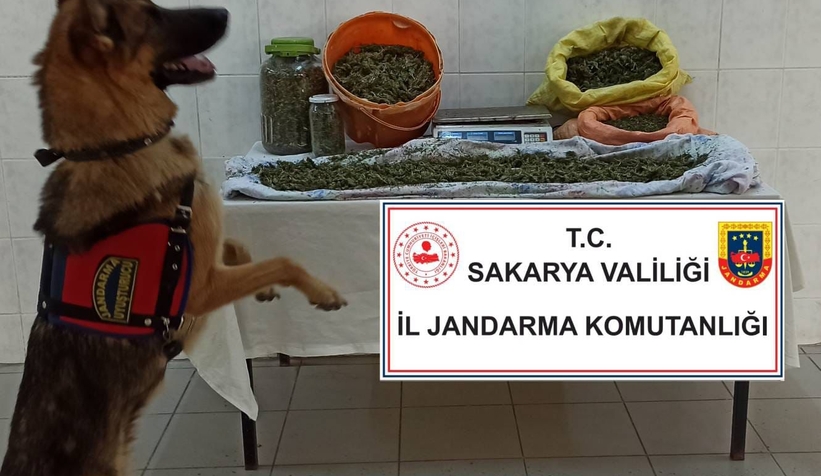 8,5 kilo esrarla yakalandı