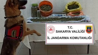 8,5 kilo esrarla yakalandı