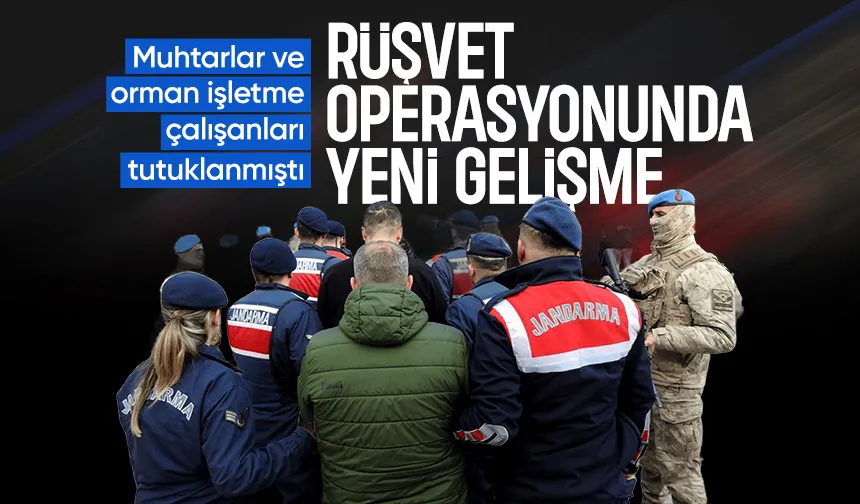 2 muhtar, 3 orman işletme şefi dahil 13 kişi tutuklanmıştı; Yeni gelişme