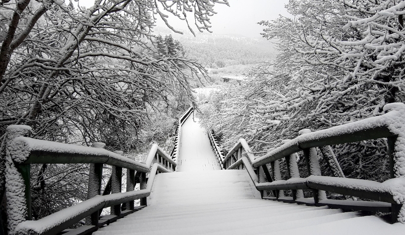 Abant, Nisan ayında beyaz örtüyle kaplandı