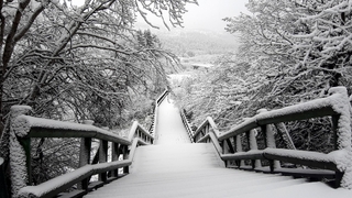 Abant, Nisan ayında beyaz örtüyle kaplandı