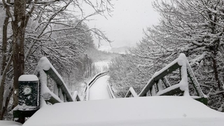 Abant'ta kar kalınlığı 15 santimi geçti