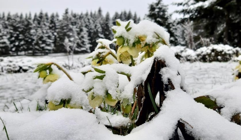 Abant'ta Nisan ayında kar güzelliği