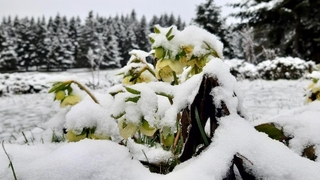 Abant'ta Nisan ayında kar güzelliği