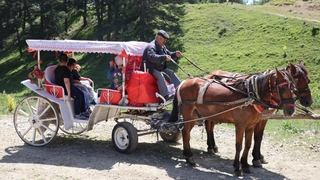 Abant Tabiat Parkı’nda fayton dönemi sona erdi
