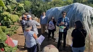 ABD'de, kahverengi kokarca ile mücadeleyi anlattı