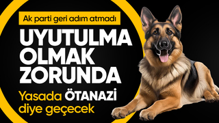 Abdullah Güler'den başıboş sokak köpekleri düzenlemesine ilişkin: Uyutulma olmak zorunda