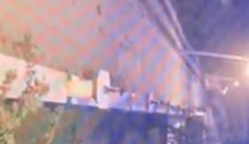 Aç kalan ayı mahalleye indi