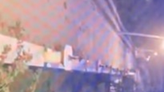 Aç kalan ayı mahalleye indi