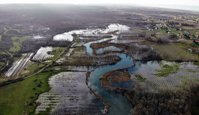 Acalar Longozu havadan görüntülendi