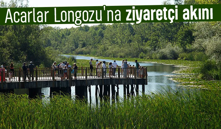 Acarlar Longozu 150 bini  aşkın ziyaretçiyi ağırladı