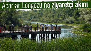 Acarlar Longozu 150 bini  aşkın ziyaretçiyi ağırladı