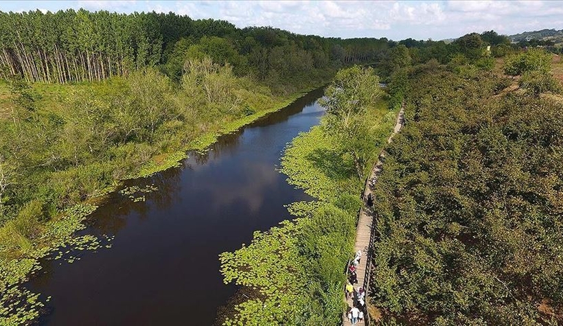 Acarlar Longozu harika doğasıyla sizi bekliyor