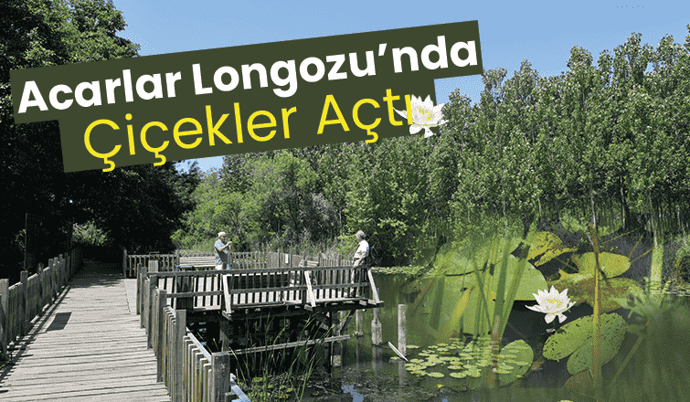 Acarlar Longozuna ziyaretçi akını