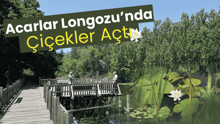 Acarlar Longozuna ziyaretçi akını