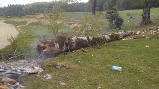 Acelle Yaylası'nda tepki çeken görüntü