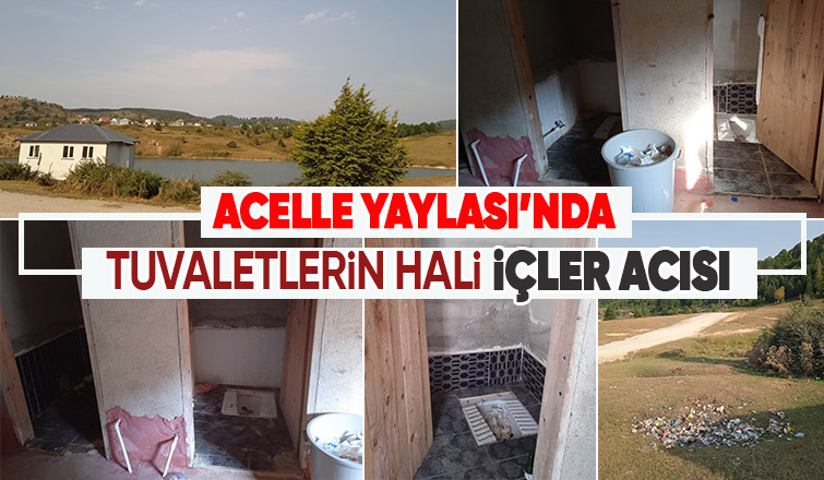 Acelle Yaylası'nda tepki çeken görüntü