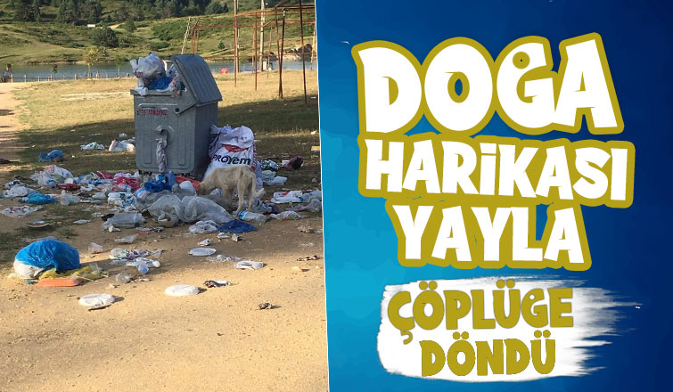 Acelle Yaylası'nda tepki çeken görüntü