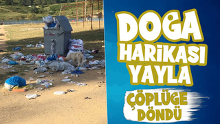 Acelle Yaylası'nda tepki çeken görüntü