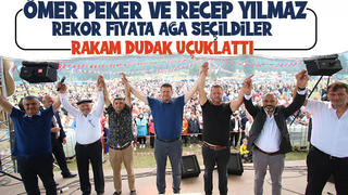 Acelle Yaylası Şenlikleri'nde ağalığı Ömer Peker ve Recep Yılmaz aldı