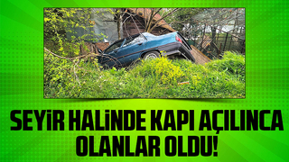 Açılan kapıyı kapatmak isterken bahçeye uçtu