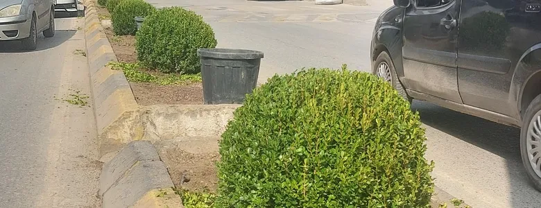 Ada Caddesi Büyükşehir ile güzelleşiyor