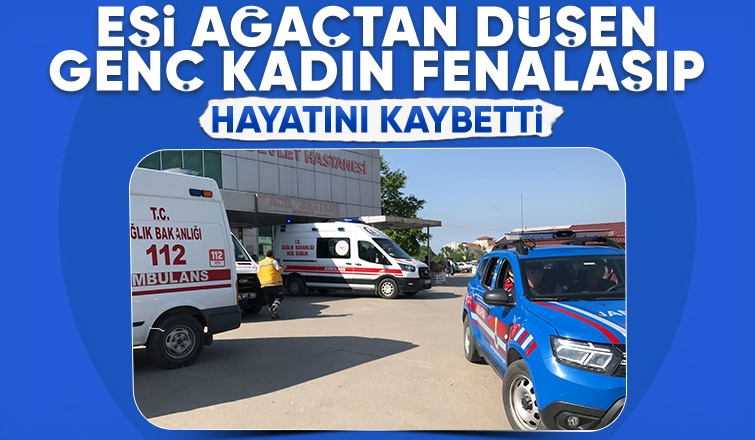 Adam ağaçtan düştü eşi hayatını kaybetti