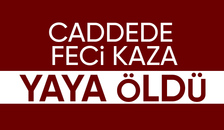 Adapazarı'nda aracın çarptığı kişi öldü