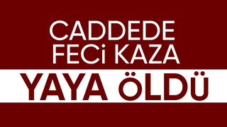 Adapazarı'nda aracın çarptığı kişi öldü