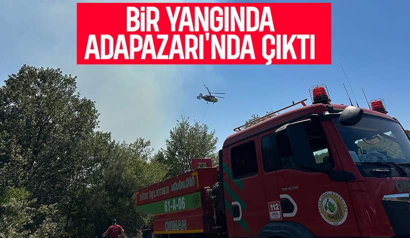 Adapazarı'nda orman yangını çıktı; Hızla kontrol altına alındı