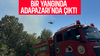 Adapazarı'nda orman yangını çıktı; Hızla kontrol altına alındı