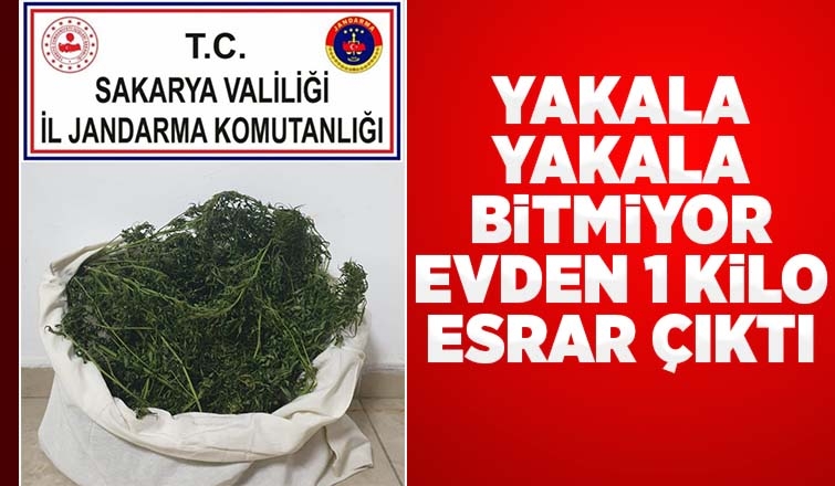 Adapazarı'nda uyuşturucu baskını