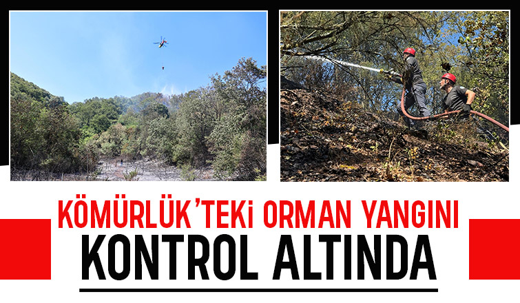 Adapazarı'ndaki orman yangını kontrol altına alındı