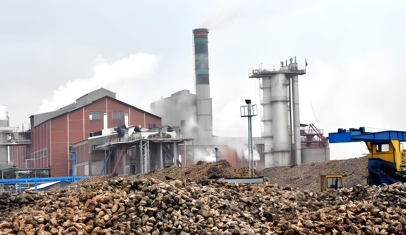 Adapazarı Şeker Fabrikası'nın kotası belli oldu