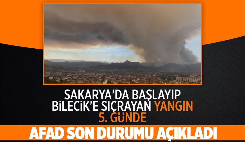 AFAD 5 gündür devam eden orman yangınındaki son durumu açıkladı