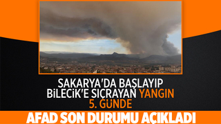 AFAD 5 gündür devam eden orman yangınındaki son durumu açıkladı