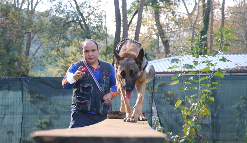 AFAD’ın altın burunlu köpekleri böyle eğitiliyor