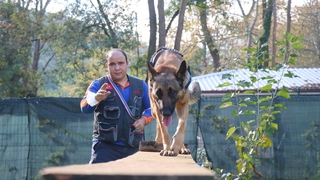 AFAD’ın altın burunlu köpekleri böyle eğitiliyor