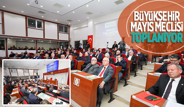 Afet İşleri Daire Başkanlığı kurulacak