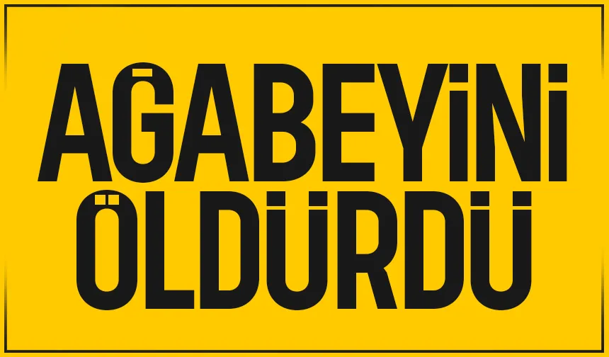 Ağabeyini silahla vurdu