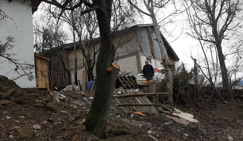 Ağaç budarken kafasına dal düştü, yaralandı