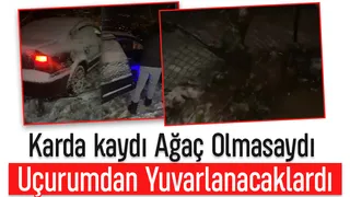 Ağaç hayatlarını kurtardı