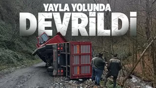 Ağaç yüklü kamyon devrildi