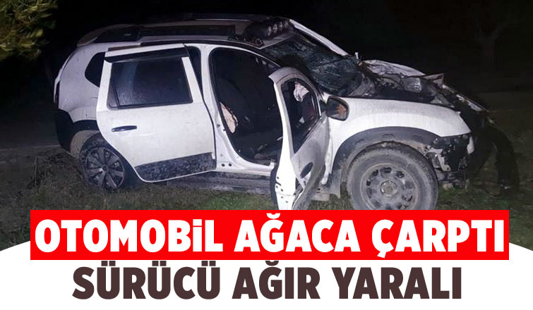 Ağaca çarpan aracın sürücüsü ağır yaralandı