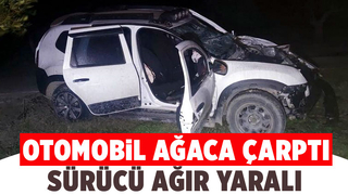 Ağaca çarpan aracın sürücüsü ağır yaralandı